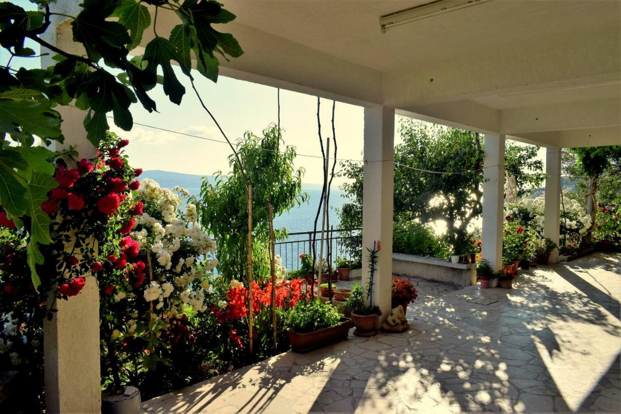 Apartments Kk Celina Exterior photo